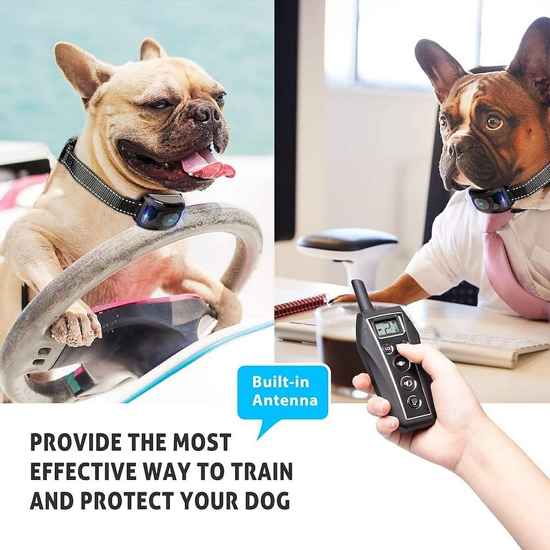PawStride No Shock Training Collar with Long Range Remote | Lersk