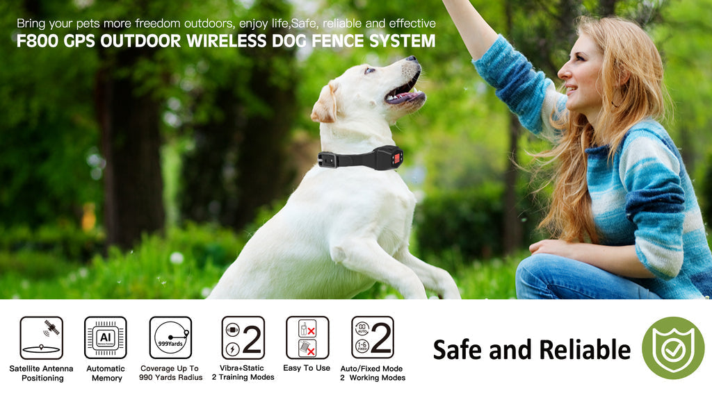 Sistema de Cerca Sem Fios GPS CanineGuard Pro para Exterior para Cães | Lersk