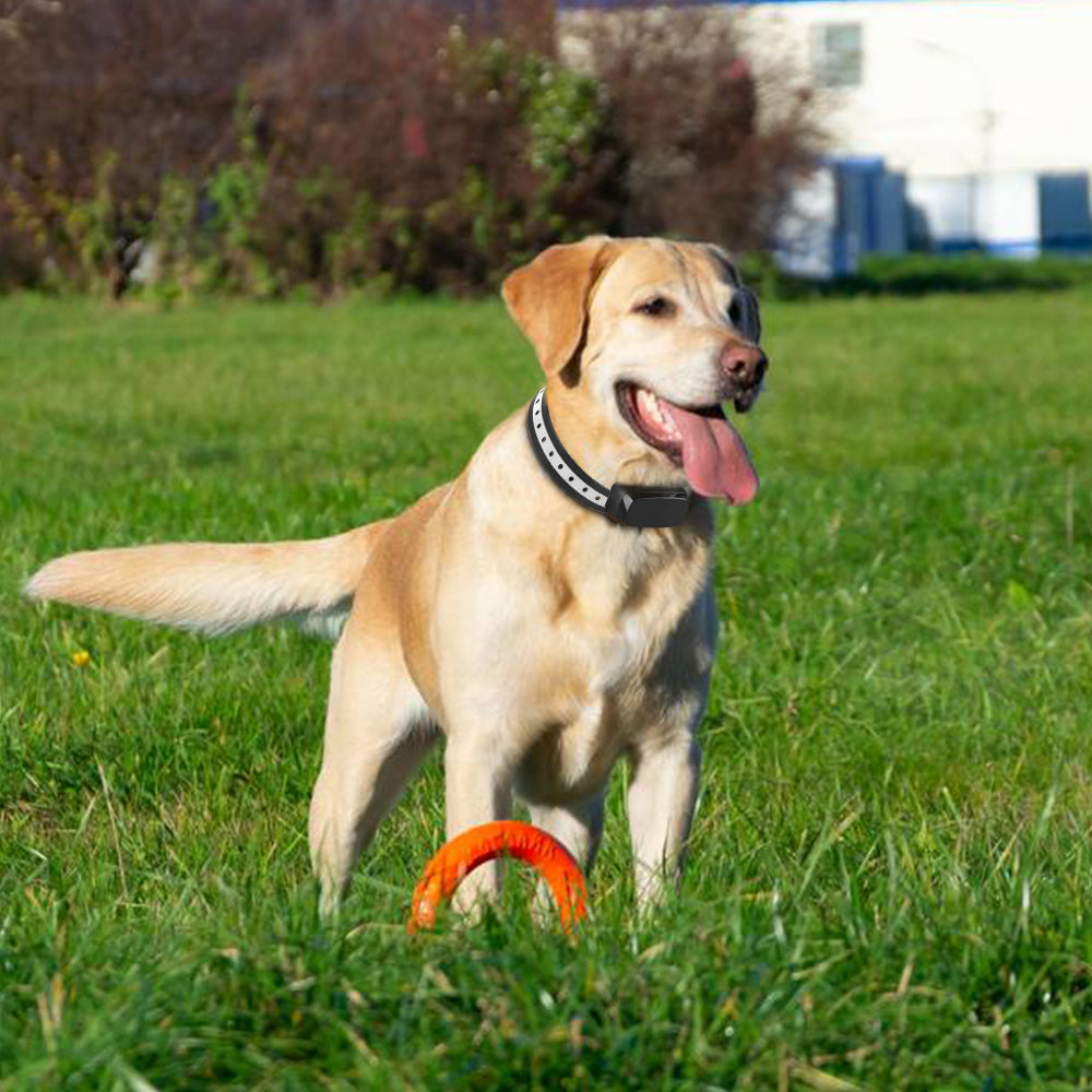 AeroPaw Pro Trådløst Hundegårdssystem til Sikre Indhegninger | Lersk