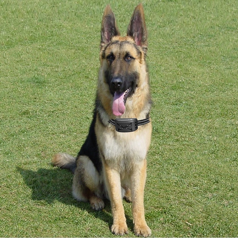 FidoFence Pro Wireless Dog Fence System With Collar, 9–240m | Lersk
