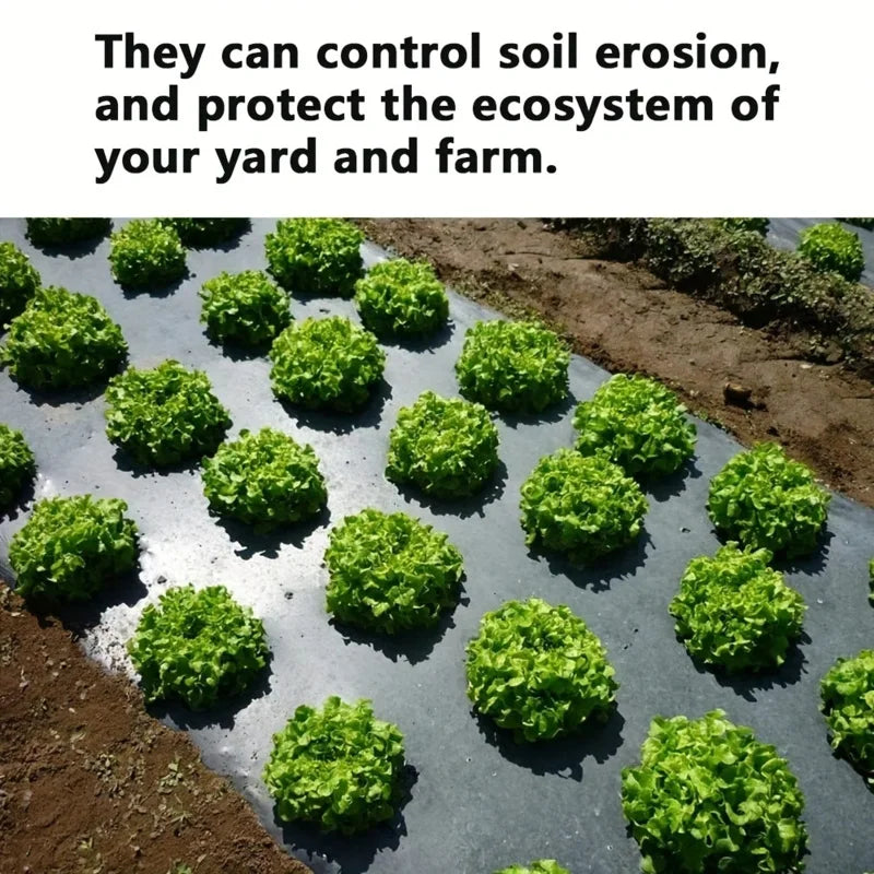 AgroShield Weed Fabric and Black Mulch Film for Plant Protection and Yield Increase, Ideal for Greenhouses | Lersk