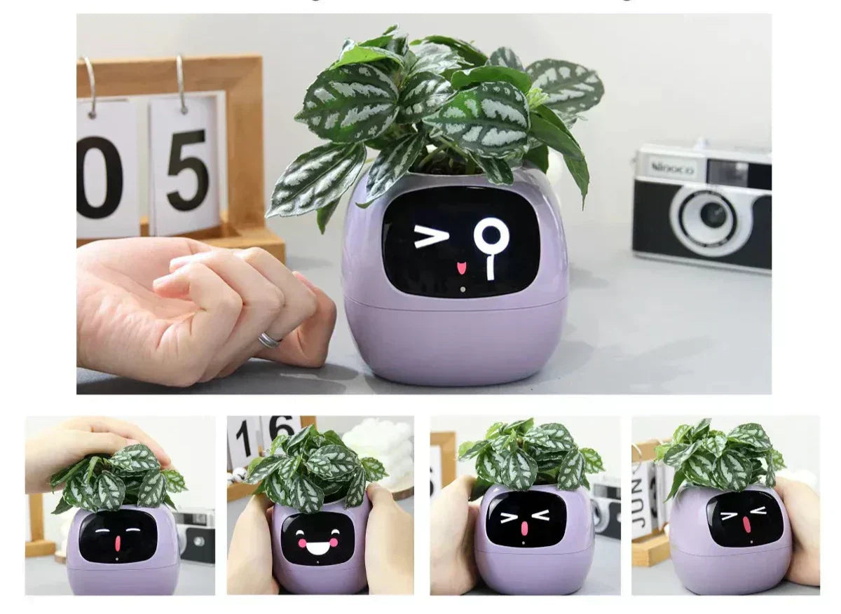 NovaVerdia Smart Planter With 49 Expressions And AI Sensors | Lersk