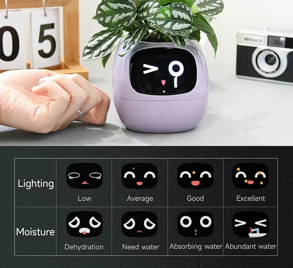 NovaVerdia Smart Planter With 49 Expressions And AI Sensors | Lersk