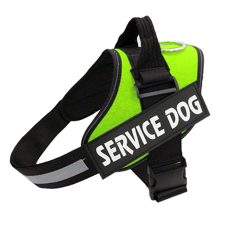 PawGuard Pro Postroj - nastavitelná podpora vodítka pro psy