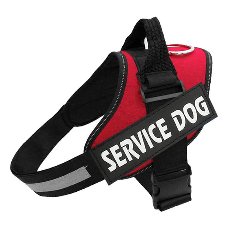 PawGuard Pro Postroj - nastavitelná podpora vodítka pro psy