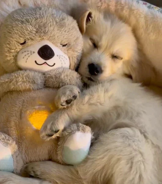 OtterEase | Calming Dog Plush Toy | Lersk