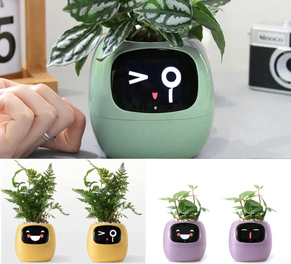 VerdiaLeaf Smart Planter With 49 Expressions And AI Sensors | Lersk