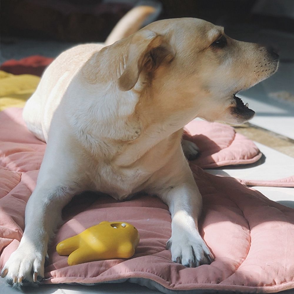 Breathable Cooling Dog Mat Keeps Pets Cool Leaf Shaped Washable | Lersk