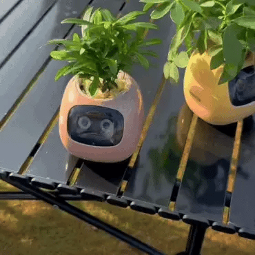 NexaGrow Smart Planter With 7 Sensors For Indoor Gardening | Lersk