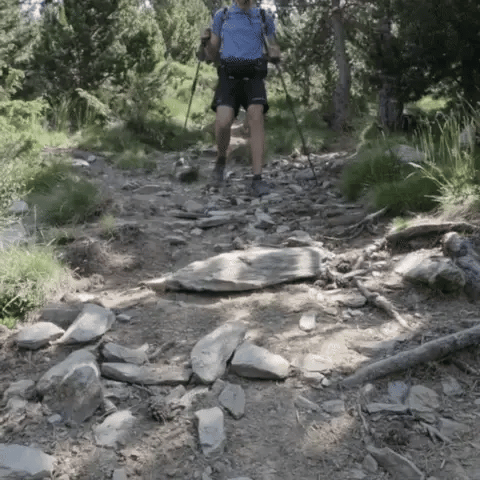 Bastoncini da Trekking Telescopici PeakGlide con Morsetto Facile | Lersk