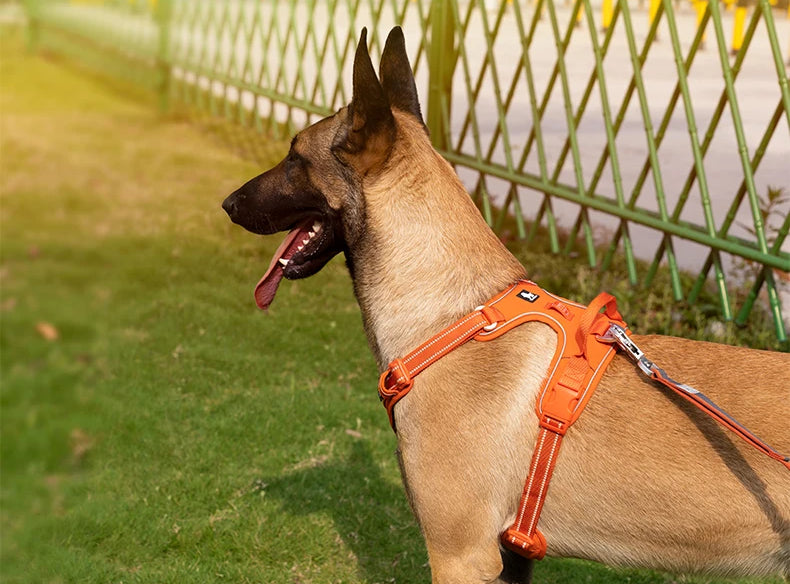 True Love No Pull Reflective Dog Harness For Active Dogs | Lersk