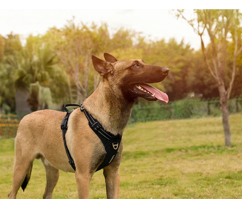 AstraPaw Reflective Nylon No Pull Dog Harness for All Sizes | Lersk