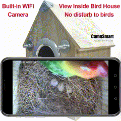 AvianVue Bird Nest Cam Feeder Box With 4MP Night Vision | Lersk