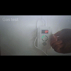 Home Dual Detector for Natural Gas Leak and Carbon Monoxide | Lersk
