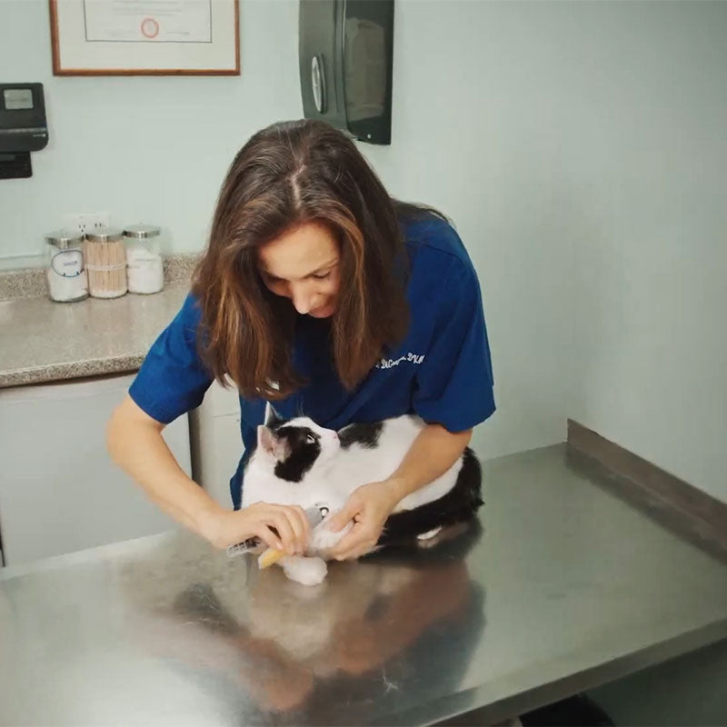 PawGuard Pro kleště na drápky se smart senzory rychlé reakce | Lersk