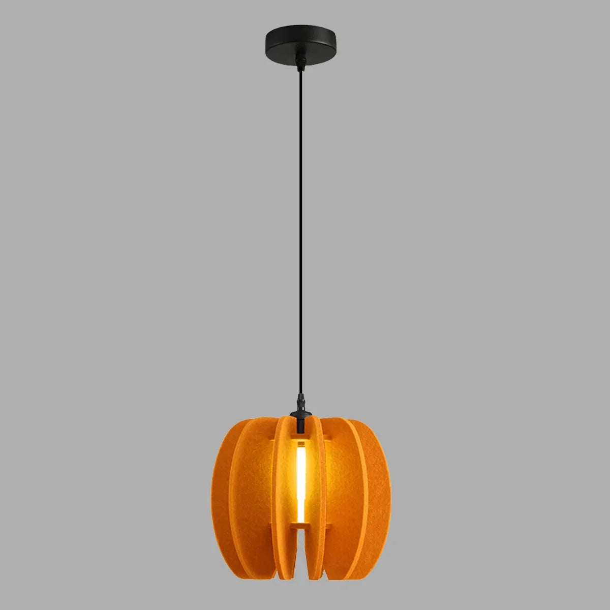 Circular Arc Piece Acoustic Pendant Light | Lersk