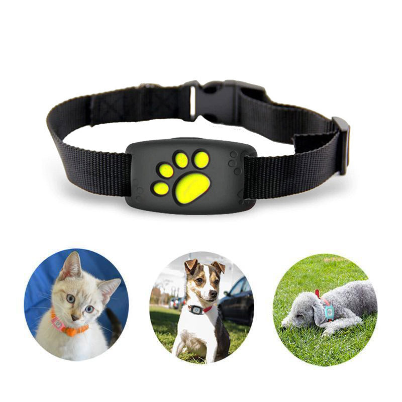 Obojek pro kočky WhiskerGuard Pro s GPS a sledováním polohy v reálném čase | Lersk