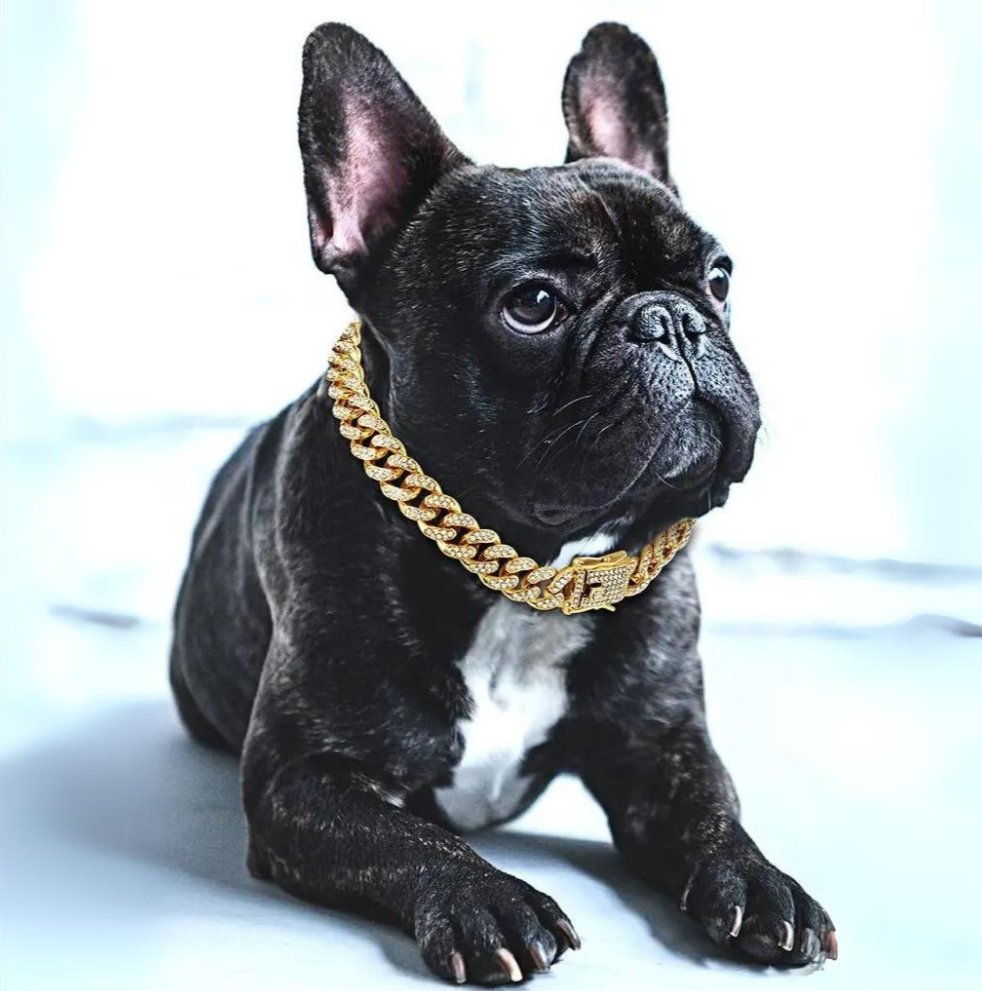 BlingPaws kutyák aranylánc nyakörv háziállatoknak és mindennapi viseletre BlingPaws hivatalos márka | Lersk