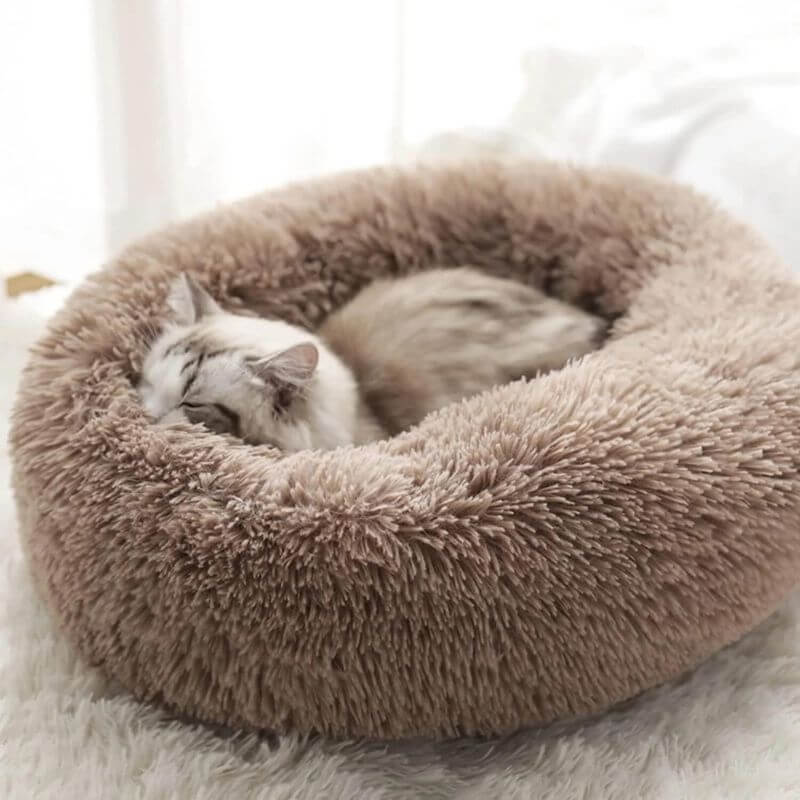 CalmPaws Cat Bed for Anxiety Relief and Everyday Comfort | Lersk
