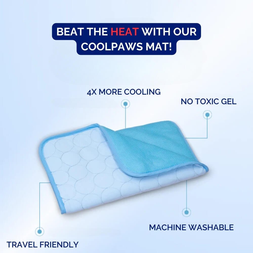 CoolPaws Dog Cooling Mat Indoor Outdoor Use Portable Lightweight For Pets And Dogs | Lersk