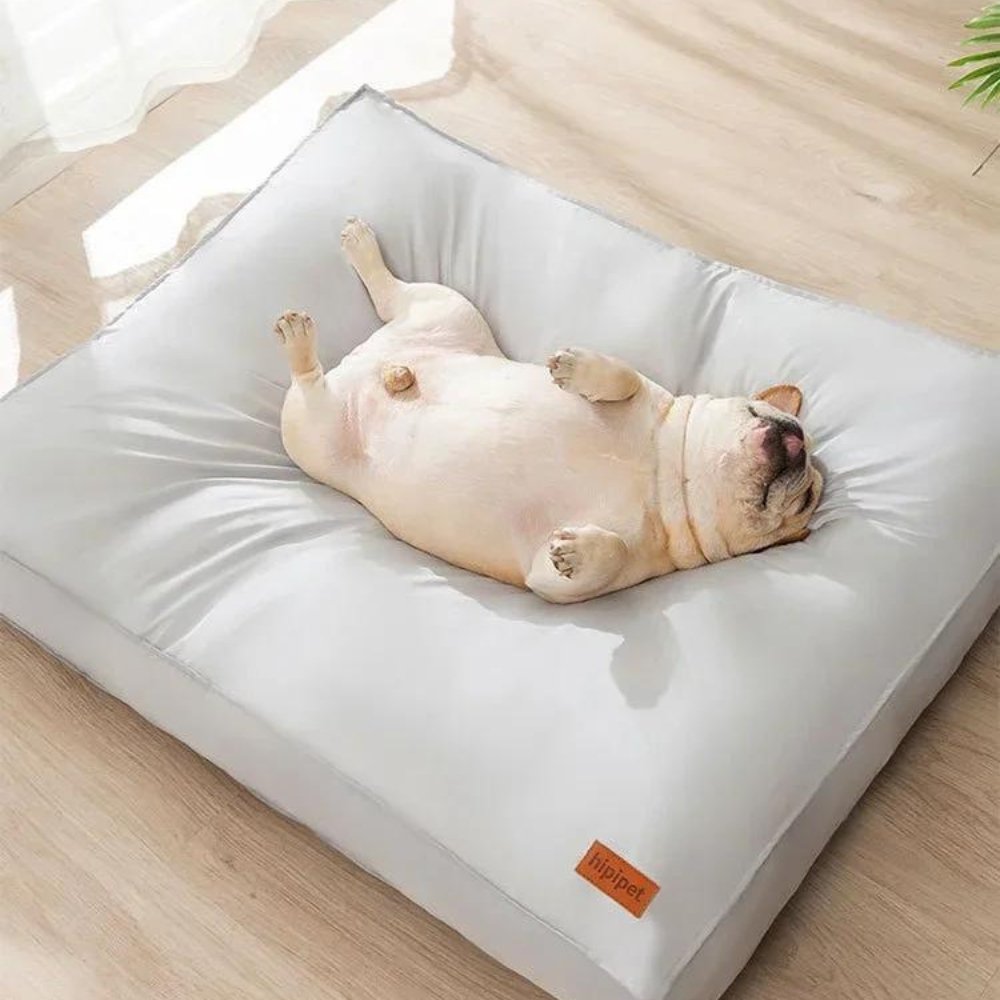 CozyGuard wasserdichtes und bequemes Hundebett für den Innenbereich und täglichen Komfort, langlebig | Lersk