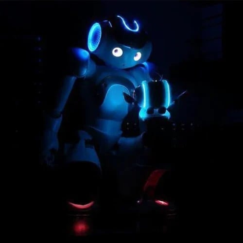 ThinkBot interaktivní vzdělávací robot pro děti s ovládáním gesty, tancem a mluvením, dobíjecí | Lersk