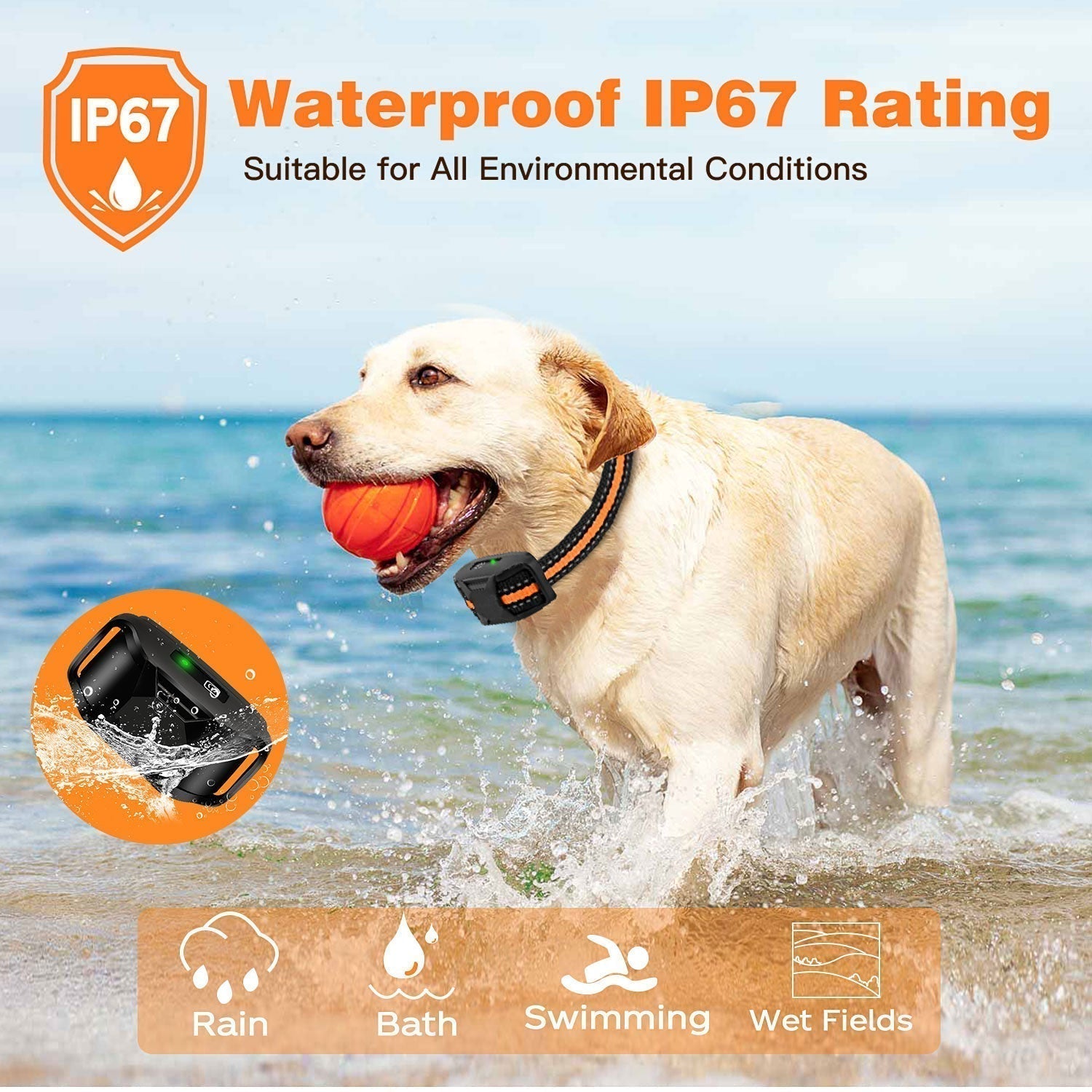 HydraPaw Pro Waterproof Remote Dog Training Collar Outdoor | Lersk