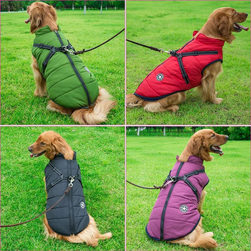DryPaw wasserdichter Hundemantel für Regenschutz und Kälteschutz für Hunde | Lersk