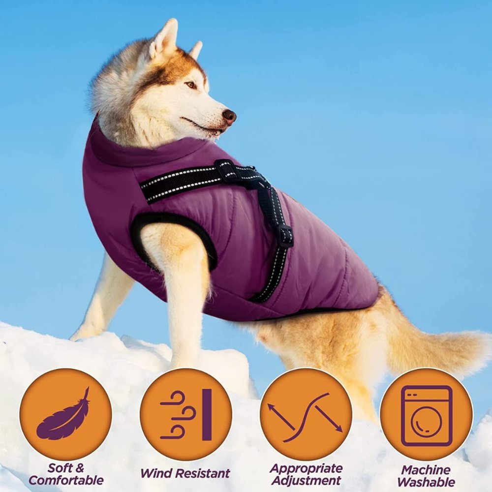 DryPaw wasserdichter Hundemantel für Regenschutz und Kälteschutz für Hunde | Lersk