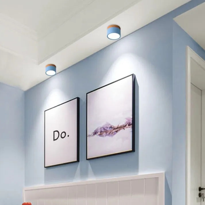 Lunara Nordic LED Ceiling Light for Hallways and Living | Lersk