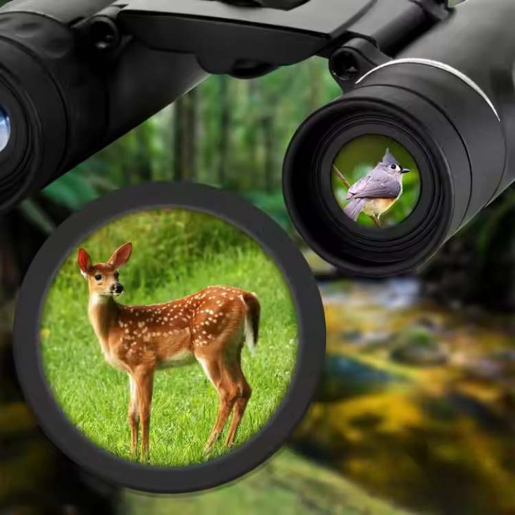 LuminaRidge TrailScout 40x22 HD Lightweight Binoculars for Wildlife Viewing | Lersk