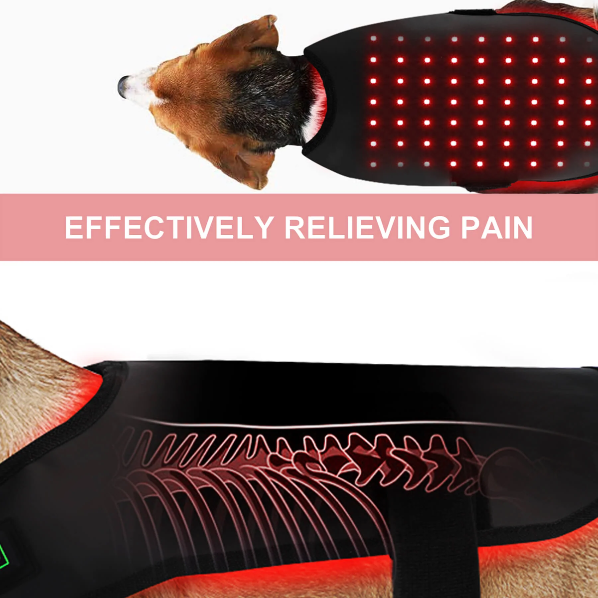 LumaCare Infrared Therapy Belt for Pets Pain Relief and Soft Tissue Support