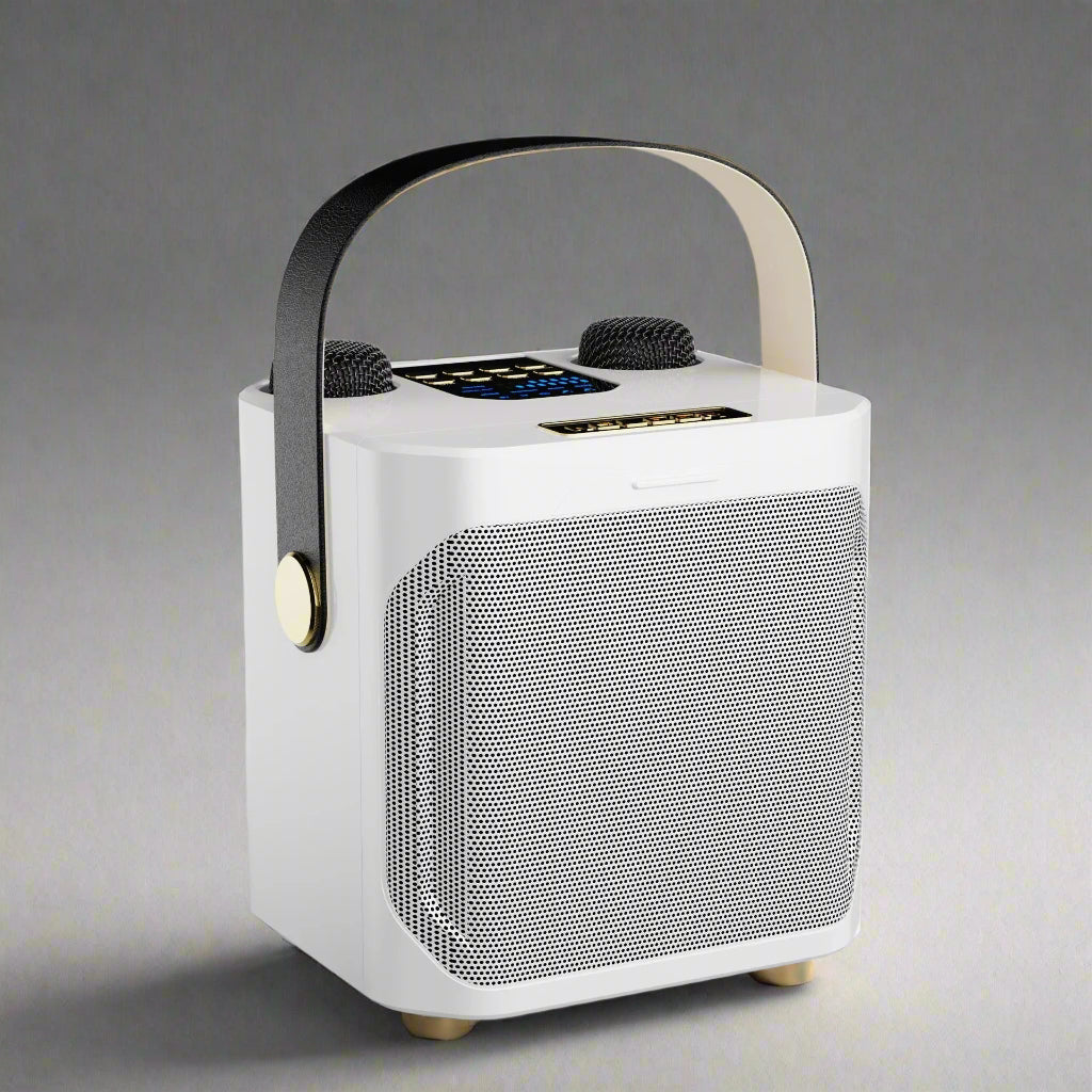 Potężny przenośny, ładowalny głośnik karaoke Bluetooth | Lersk