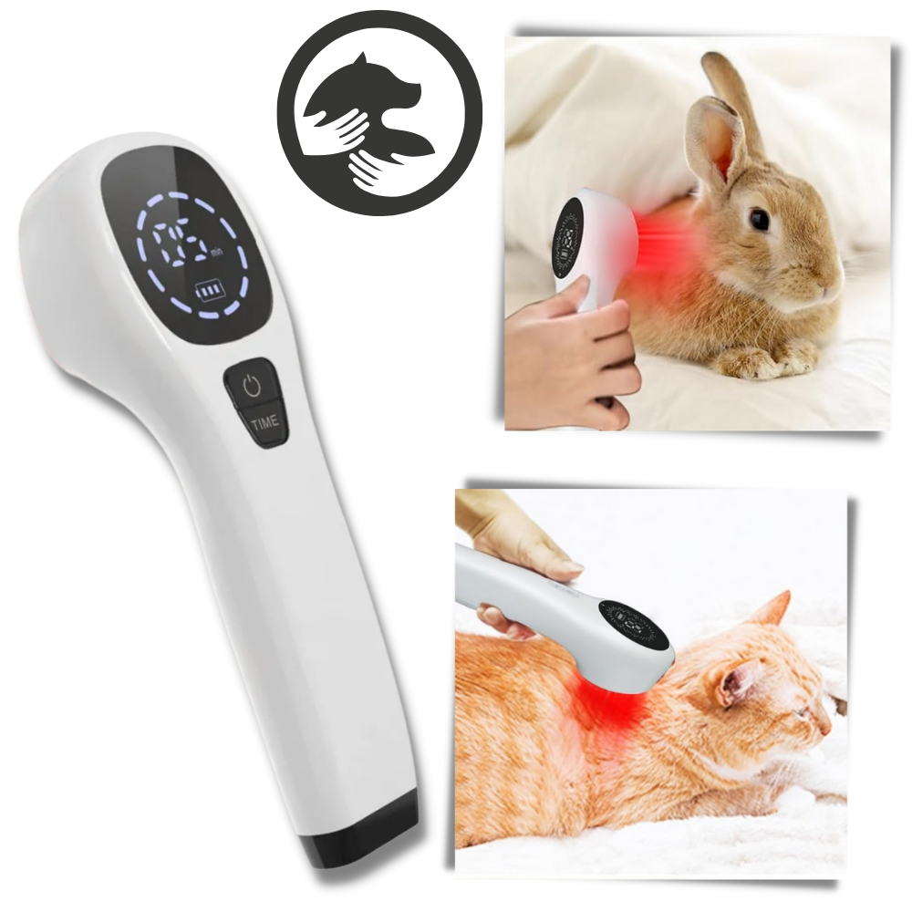 CanineLuma přenosný laser pro psy na úlevu kloubů a péči o rány | Lersk