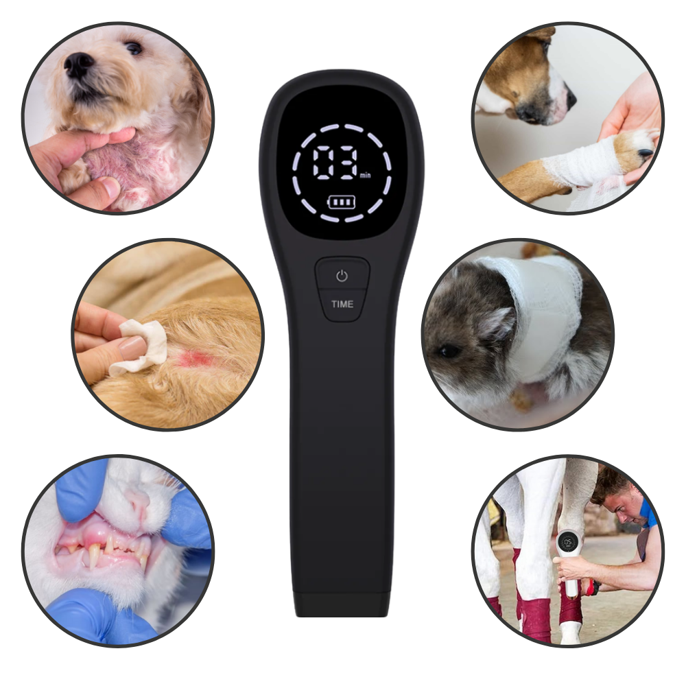 CanineLuma přenosný laser pro psy na úlevu kloubů a péči o rány | Lersk
