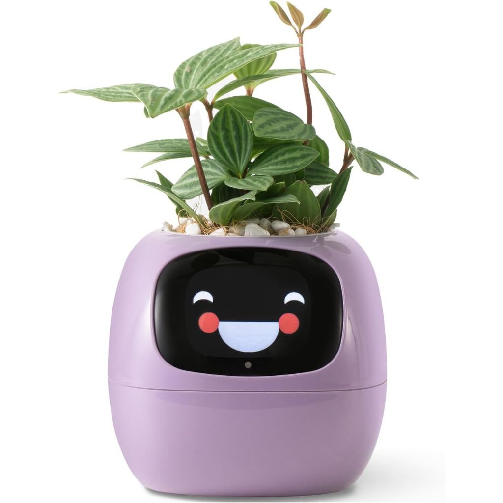VerduraPulse Vaso Intelligente 70 Animazioni Alexa Connesso | Lersk