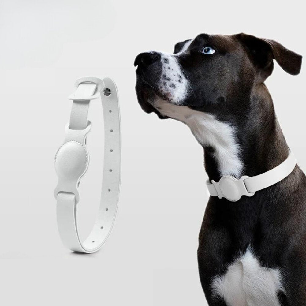 LuxeLeather AirTag Dog Collar For Pets And Dogs, Classic Leather Collar Designed For AirTag Tracking | Lersk