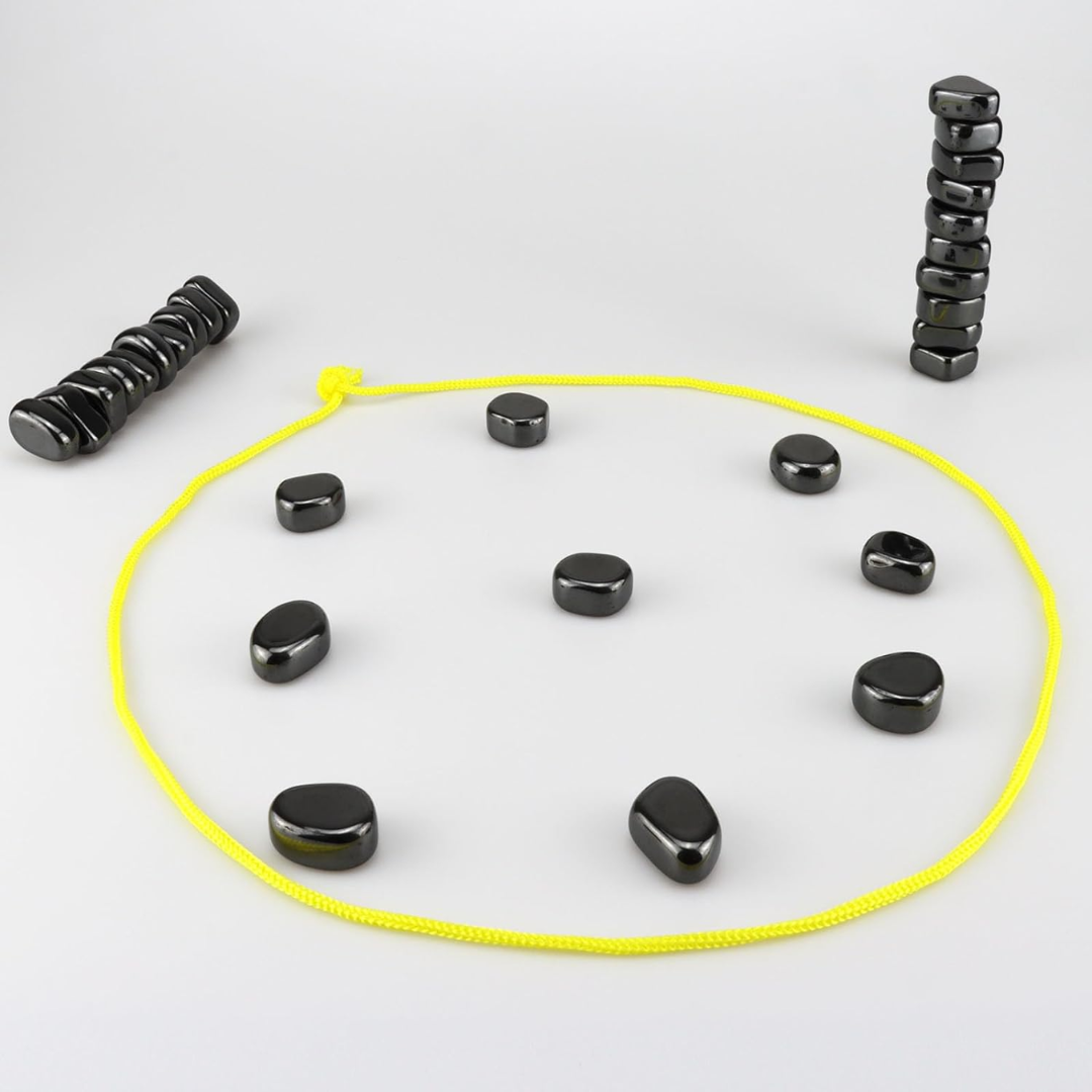 CheckMate magnetická cestovní šachová sada pro chytrou zábavu na cestách, edice Premium | Lersk