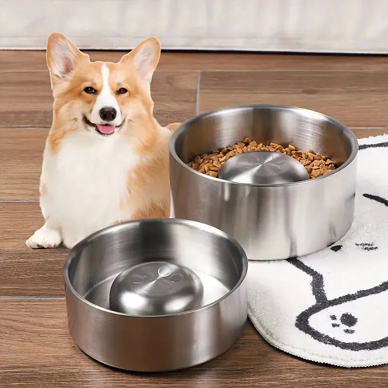 Miska pro pomalé krmení MealPace | Lersk