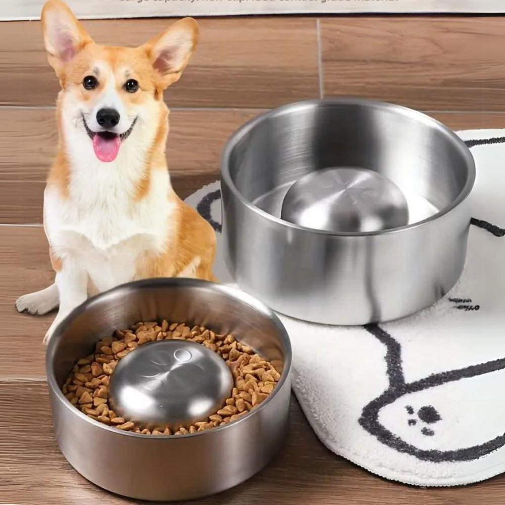 Miska pro pomalé krmení MealPace | Lersk