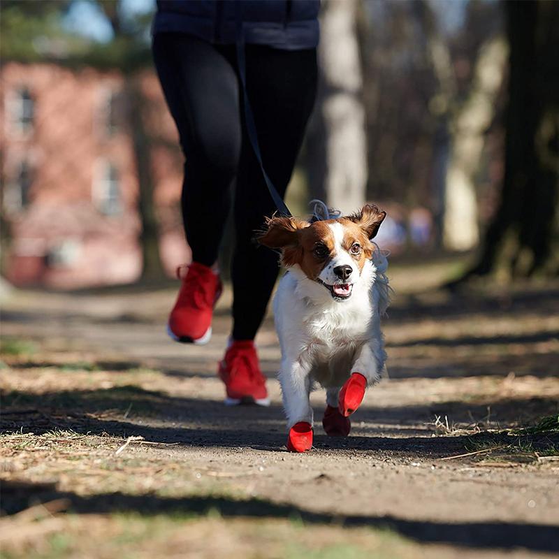 PootShield Waterproof Dog Shoes With Grip And Protective Comfort For Everyday Use | Lersk