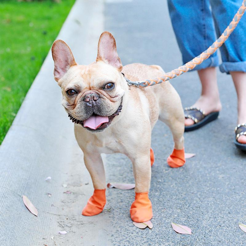 PootShield Waterproof Dog Shoes With Grip And Protective Comfort For Everyday Use | Lersk