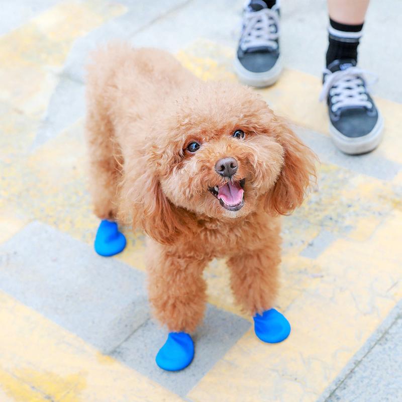 PootShield Waterproof Dog Shoes With Grip And Protective Comfort For Everyday Use | Lersk