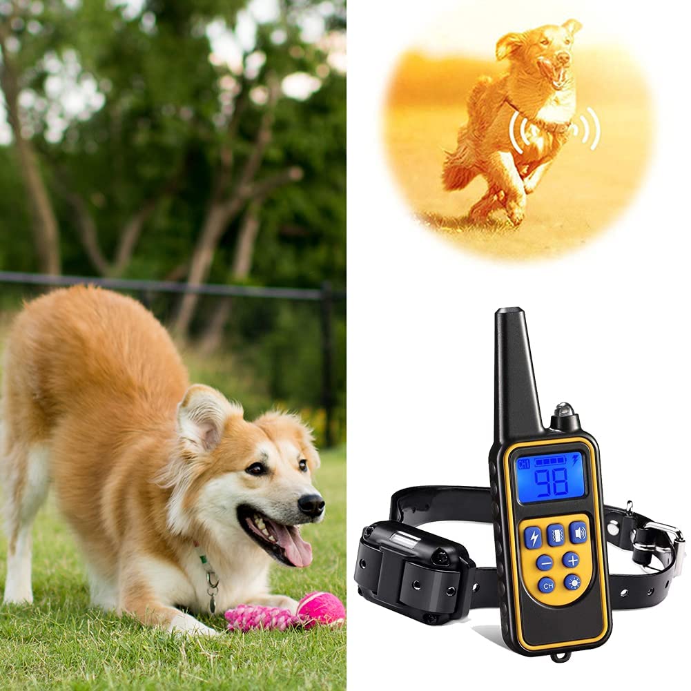 Electric Dog Training Collar 800M Range for Dog Owners | Lersk