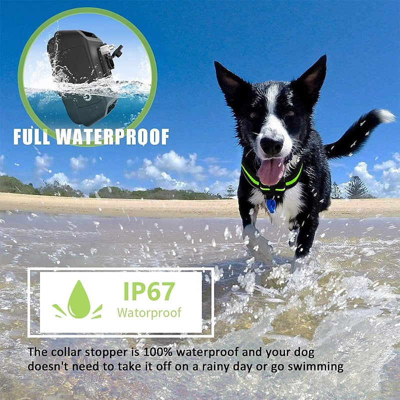 NovaPaw Bark Collar with Rechargeable Smart Shock Control | Lersk
