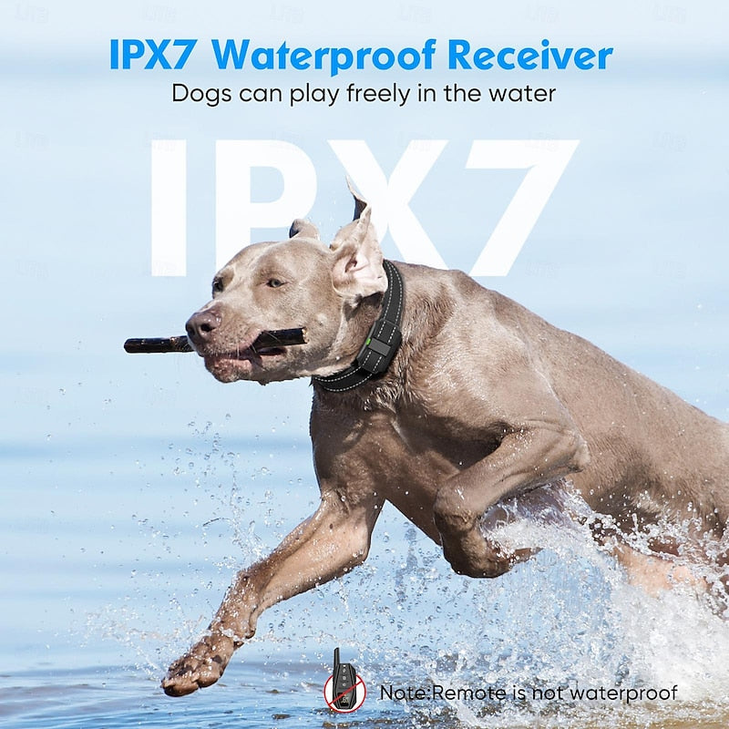 AstraTrail Pro Fernhundehalsband IPX7 wasserdichtes Training