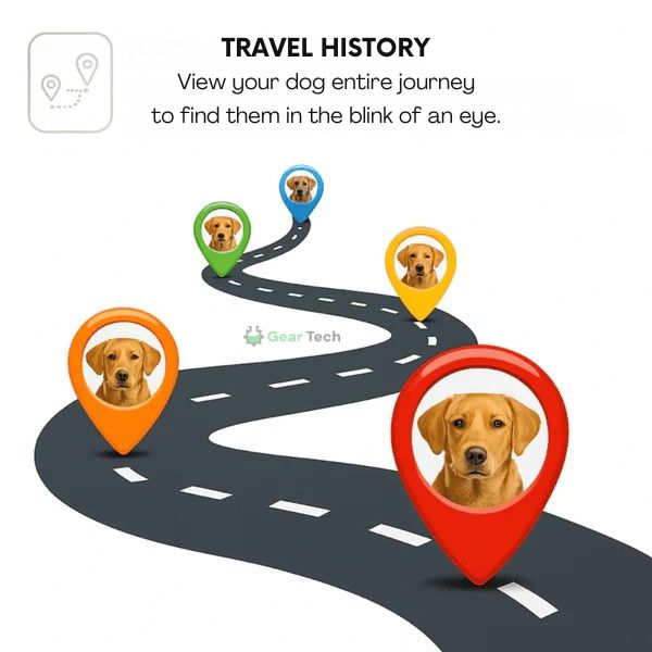 Kiri GPS Dog Collar, Waterproof, Adjustable, Live Tracking | Lersk