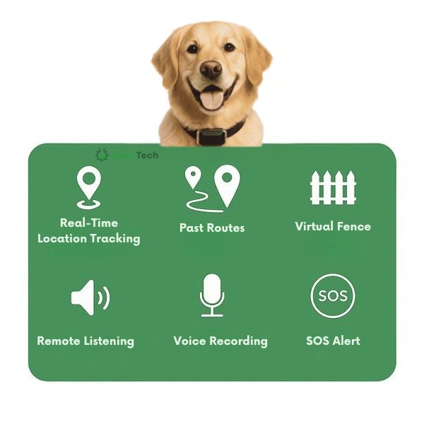 Kiri GPS Dog Collar, Waterproof, Adjustable, Live Tracking | Lersk