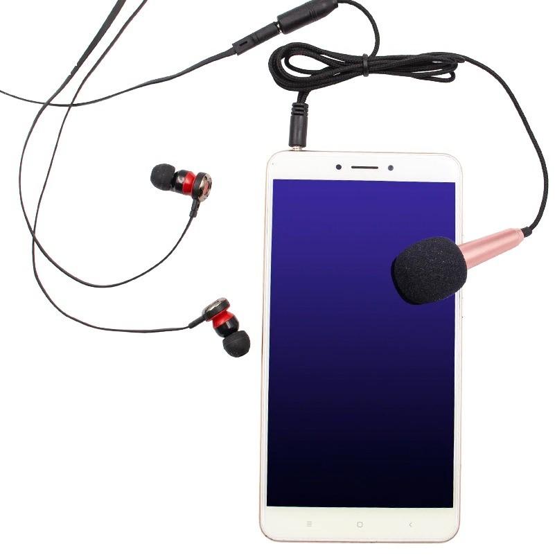 Microfono Karaoke Portatile Virelle 3,5mm per Feste | Lersk