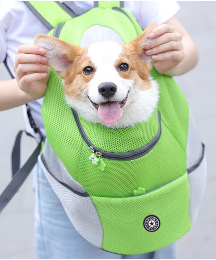 TrailPaw Dog Carrier Backpack Comfortable Secure Outdoors | Lersk